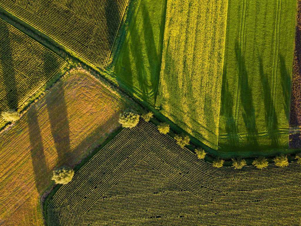 De duurzame troonrede: Herstel van het landschap moet basis van de economie zijn