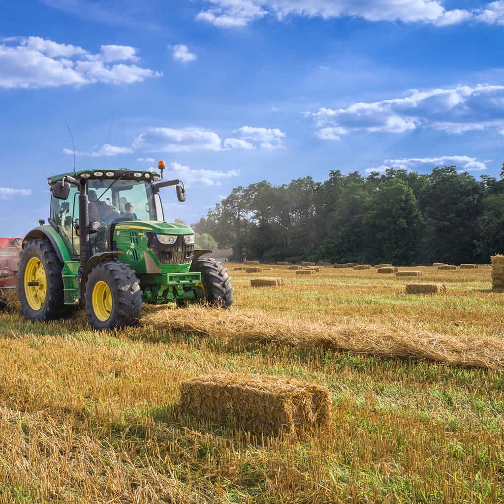 Crisis van ons ecosysteem is de moeder aller bedreigingen