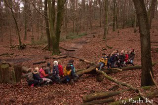 kinderen op boom