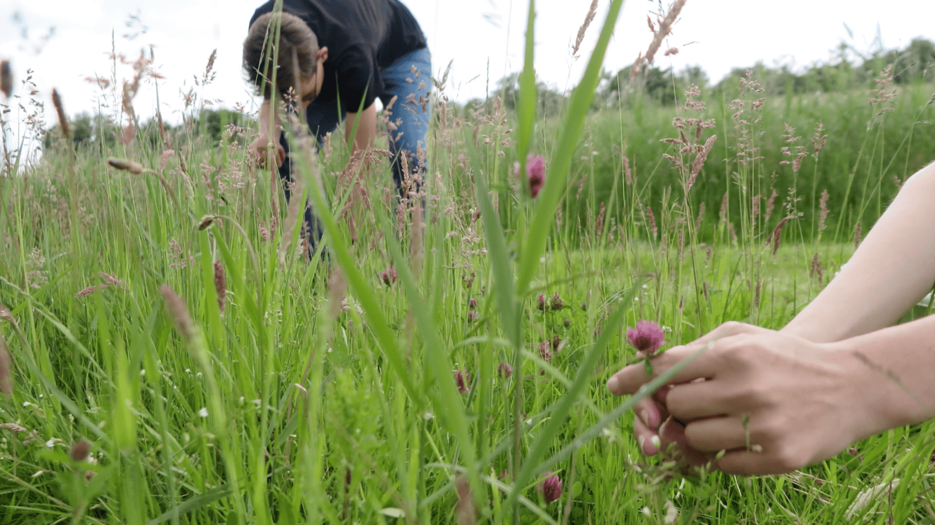 Projectweek in de natuur