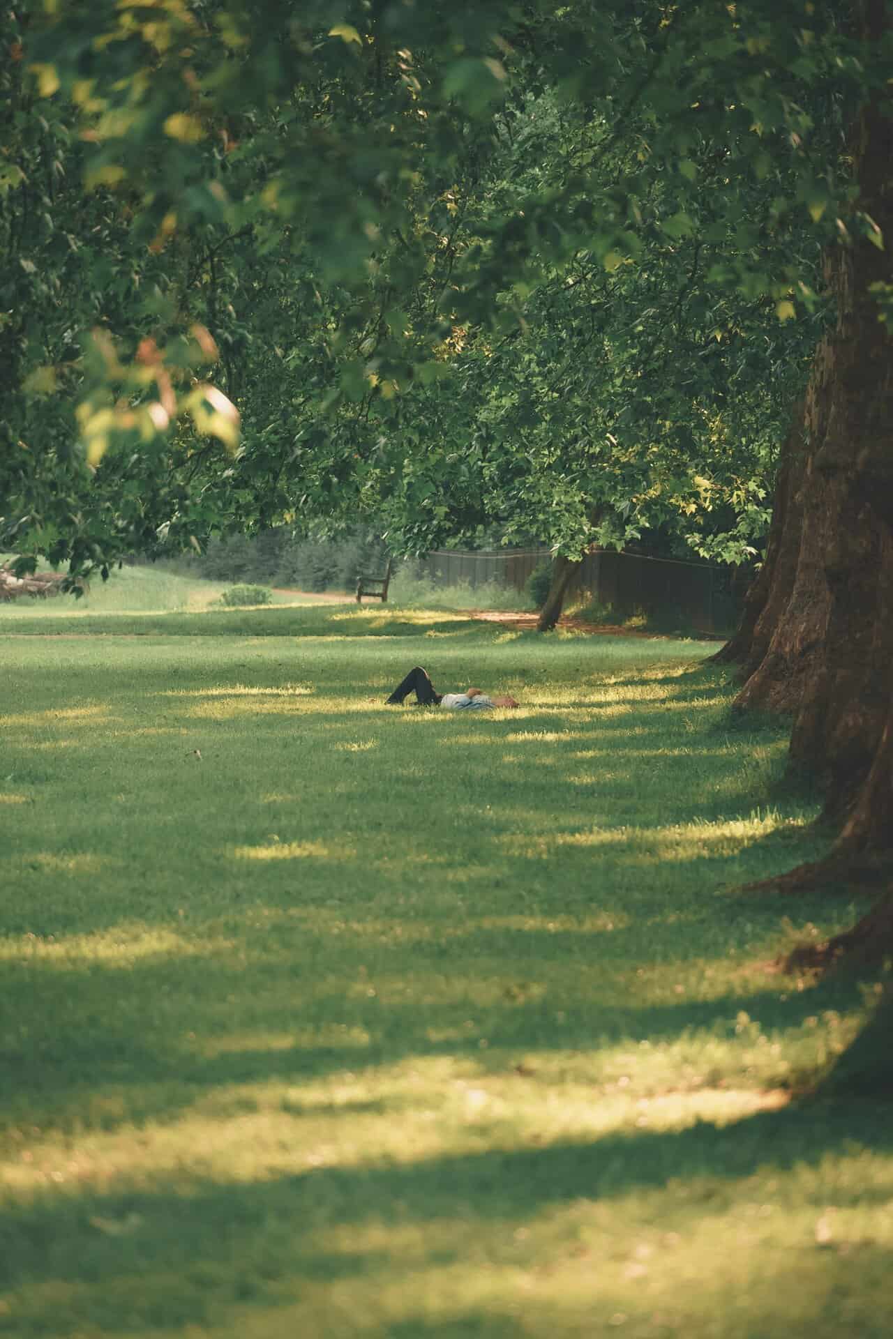 Boomtijd, een zoektocht naar woorden voor de natuur van Beitske Bouwman