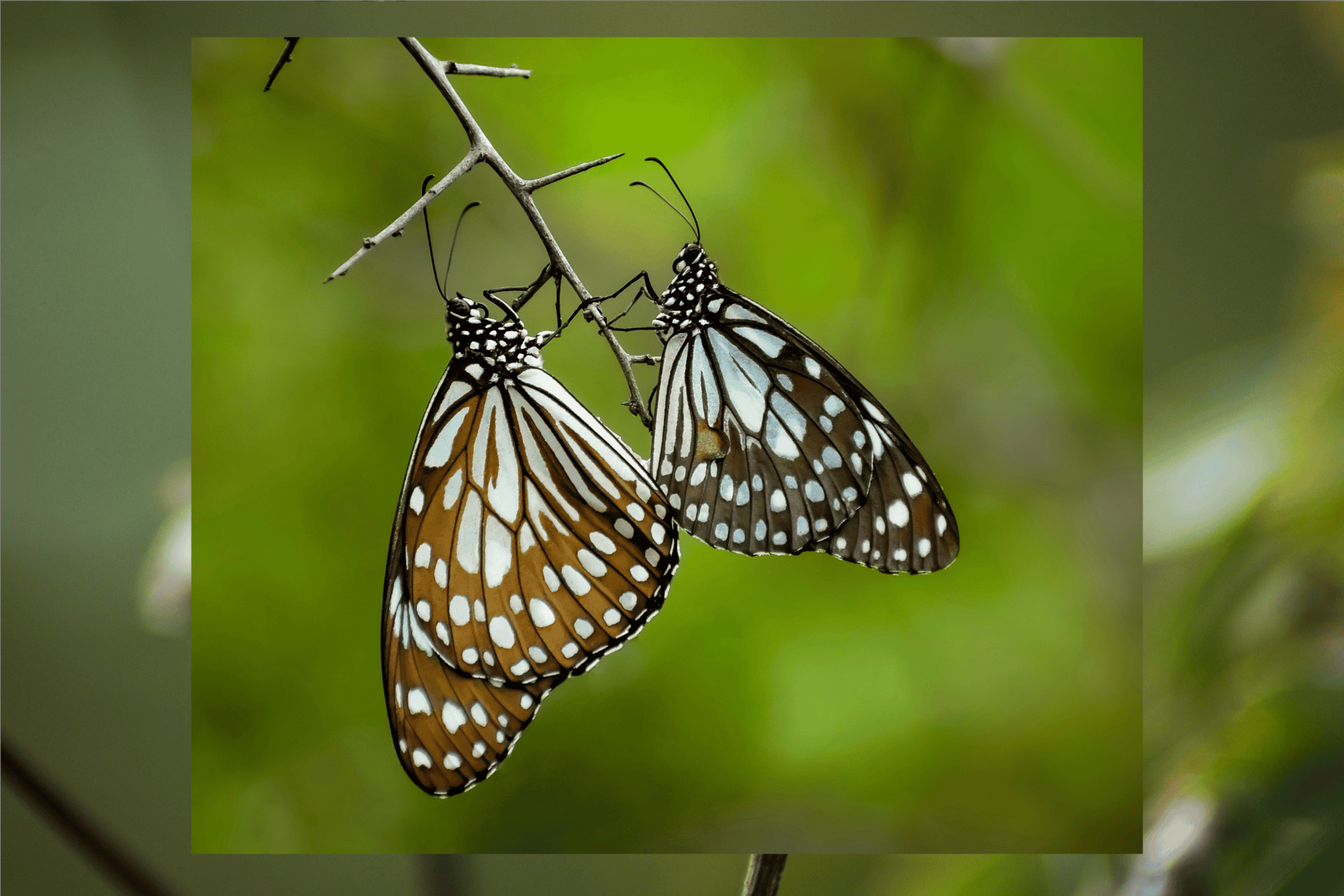 Anders kijken – Boekpresentatie, lezing en dialoog