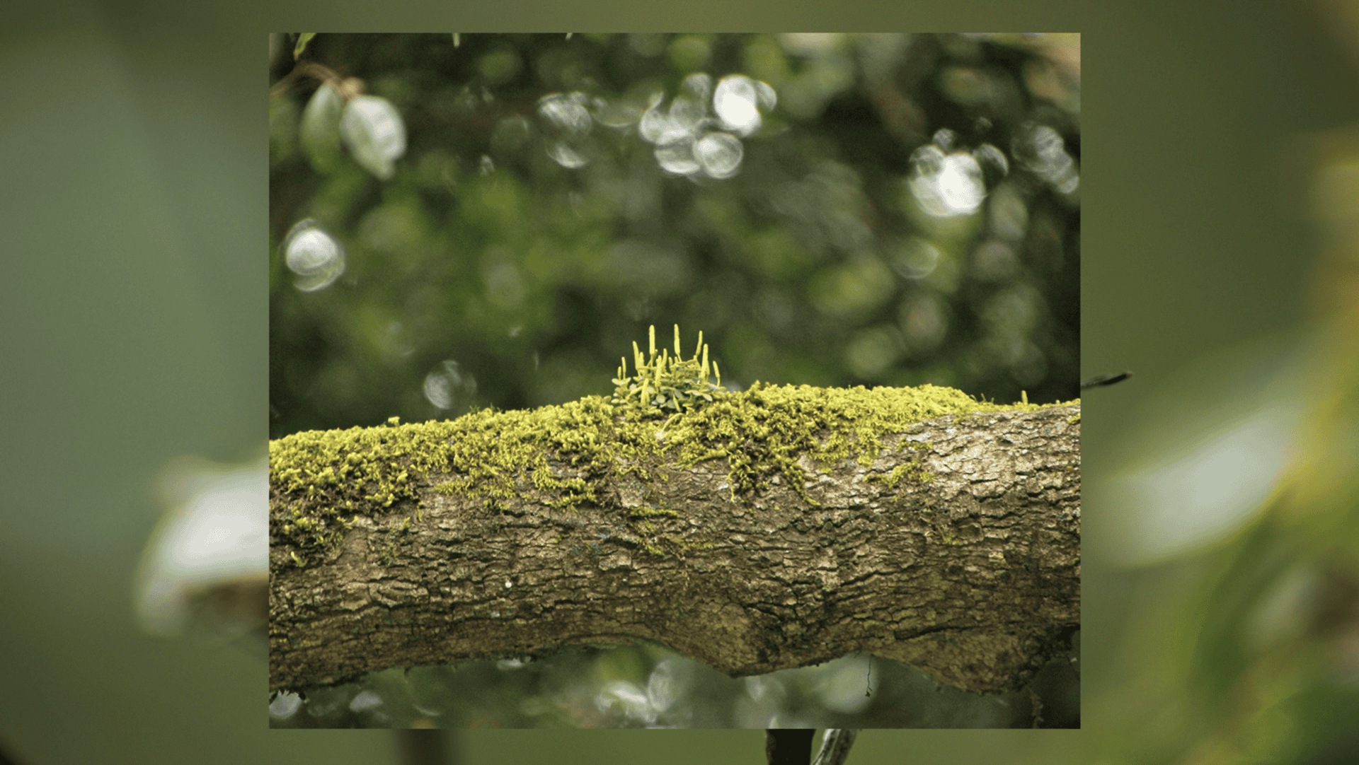 Anders kijken – Boekpresentatie, lezing en dialoog