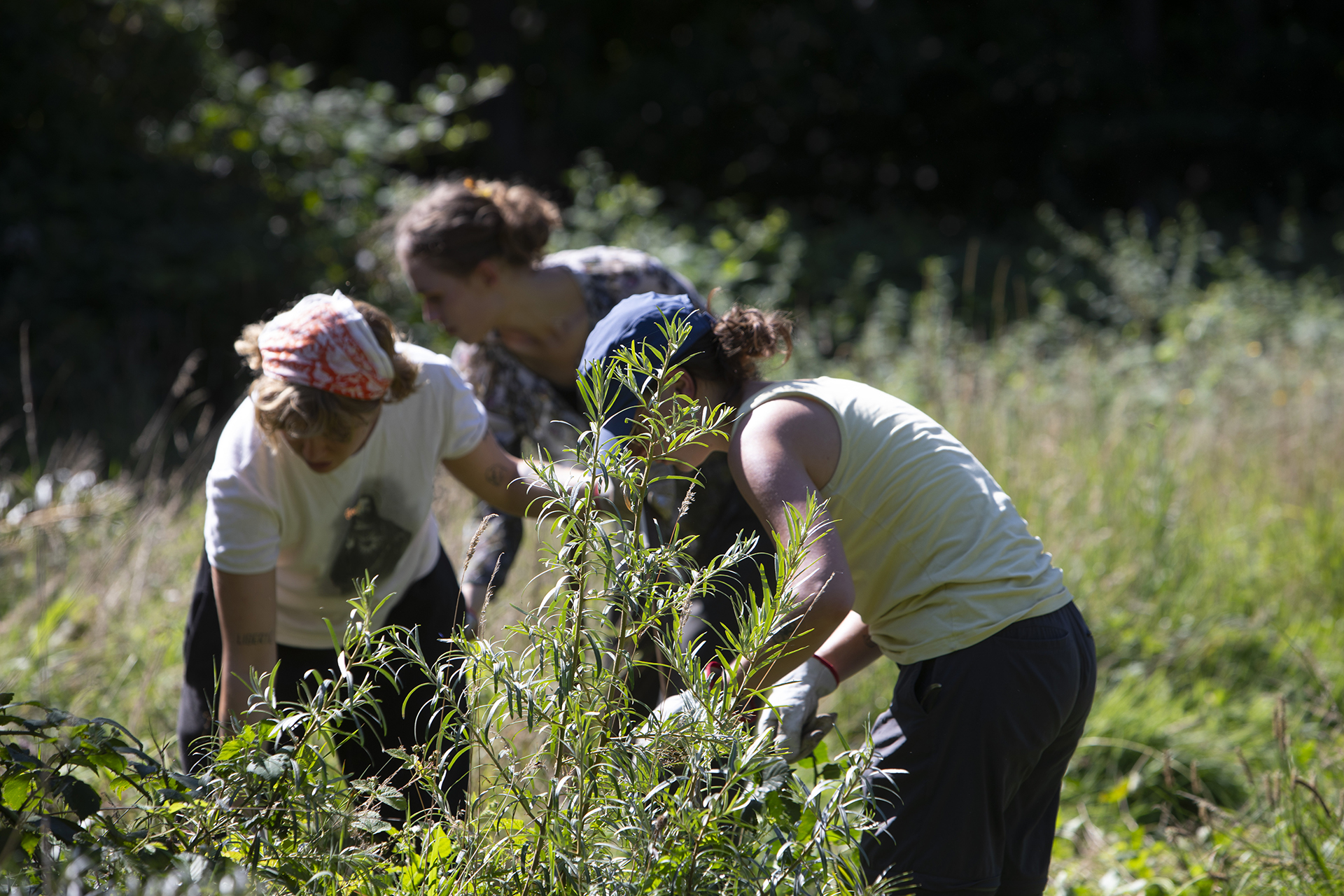 Het Tussenjaar staat in de steigers