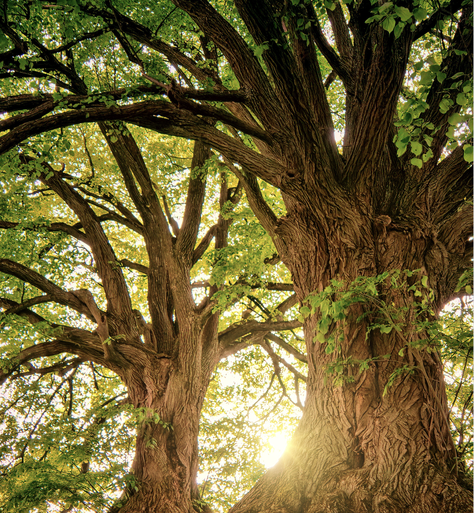 In het ritme van de aarde