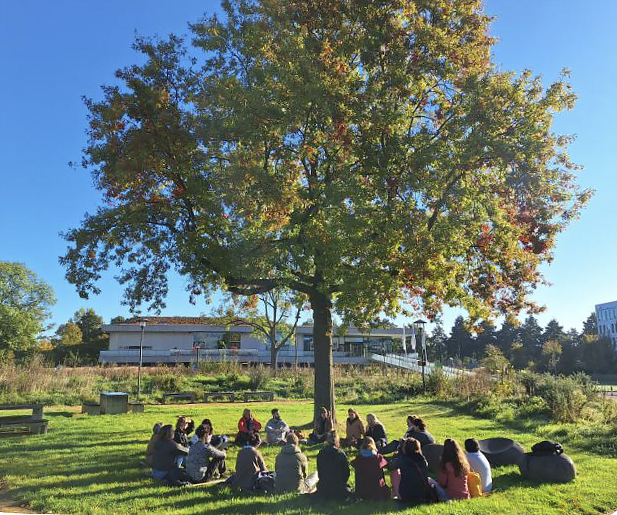 Learning beyond walls